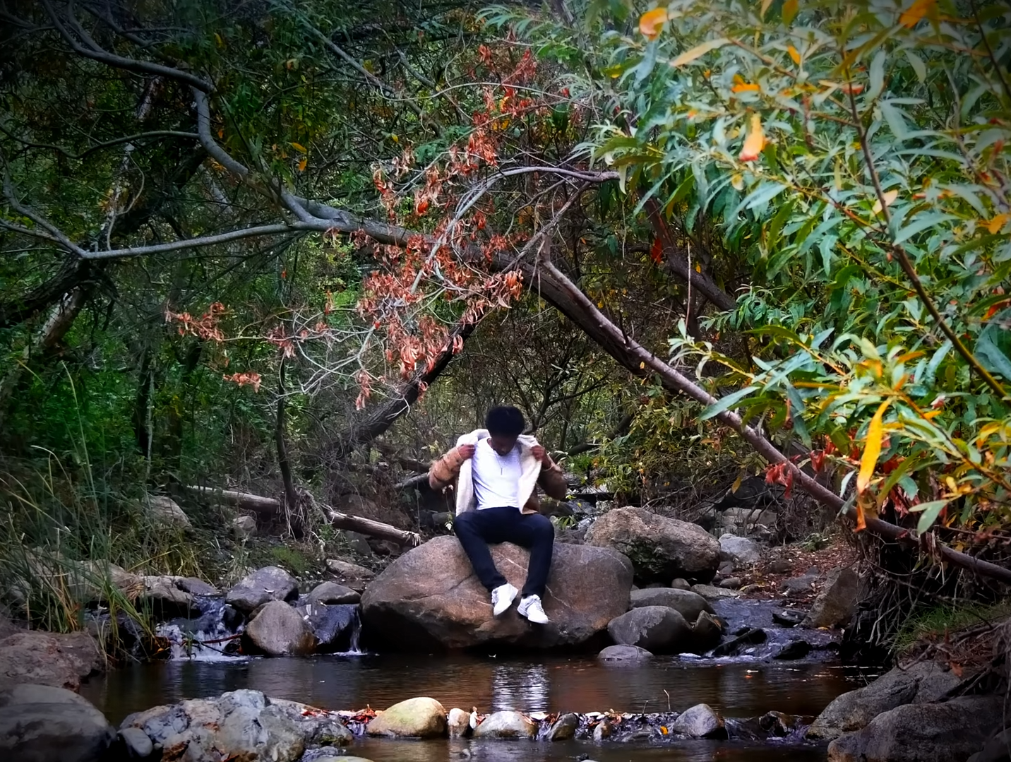 Holding Artists Accountable