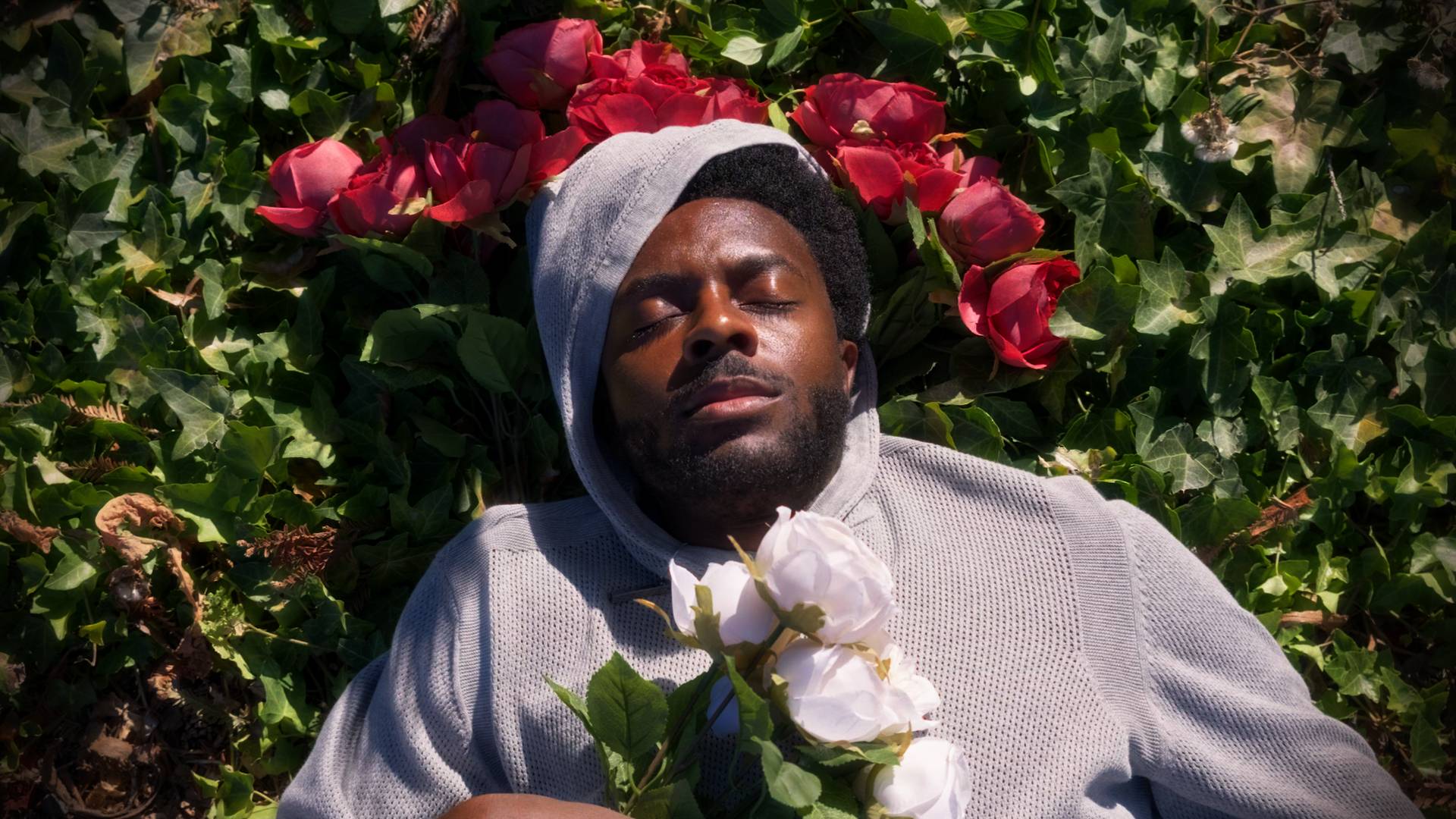 How One Rose Saved My Life